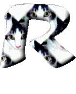 Immagine lettera R 