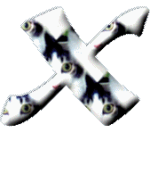 Immagine lettera X 