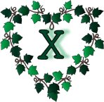 Immagine lettera X 