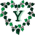 Immagine lettera Y 