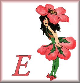 Immagine lettera E 