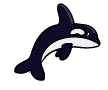 cetacei 20