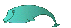 cetacei 7