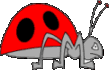 coccinelle 16