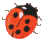 coccinelle 5