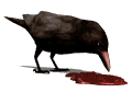 corvo 2