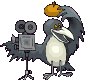 corvo 6