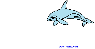 delfini 115