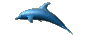 delfini 6