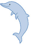 delfini 84