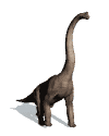 dinosauri 139