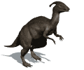 dinosauri 141
