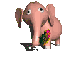 elefanti 139