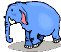 elefanti 168