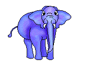 elefanti 240