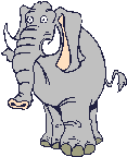 elefanti 267