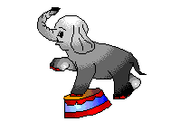elefanti 270