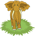 elefanti 284