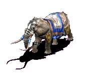 elefanti 291