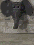 elefanti 292