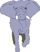 elefanti 315
