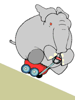 elefanti 330