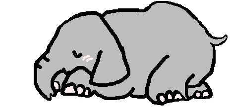 elefanti 347
