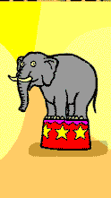 elefanti 352