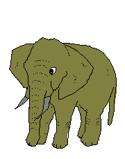 elefanti 358