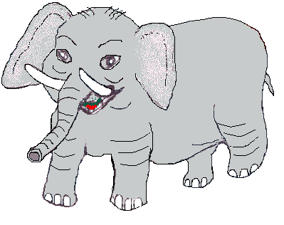 elefanti 381