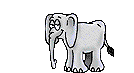 elefanti 393