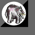 elefanti 394