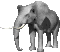 elefanti 395