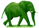 elefanti 44