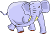 elefanti 71