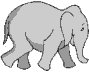 elefanti 76