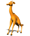 giraffe 19