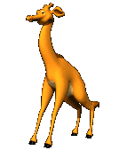giraffe 35
