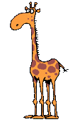 giraffe 36