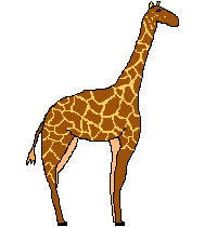 giraffe 40
