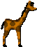 giraffe 5