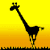 giraffe 52