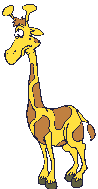 giraffe 60