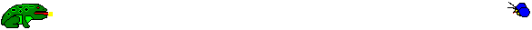 lucertole 5