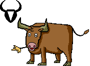 mucche 145