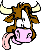 mucche 97
