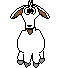 pecore 112