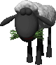 pecore 44
