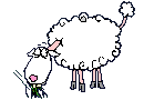 pecore 47