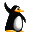 pinguini 1